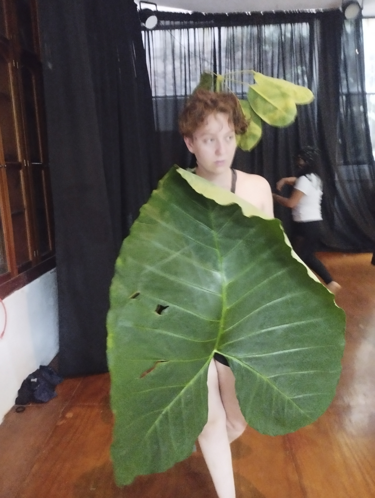 Cursos y talleres en México