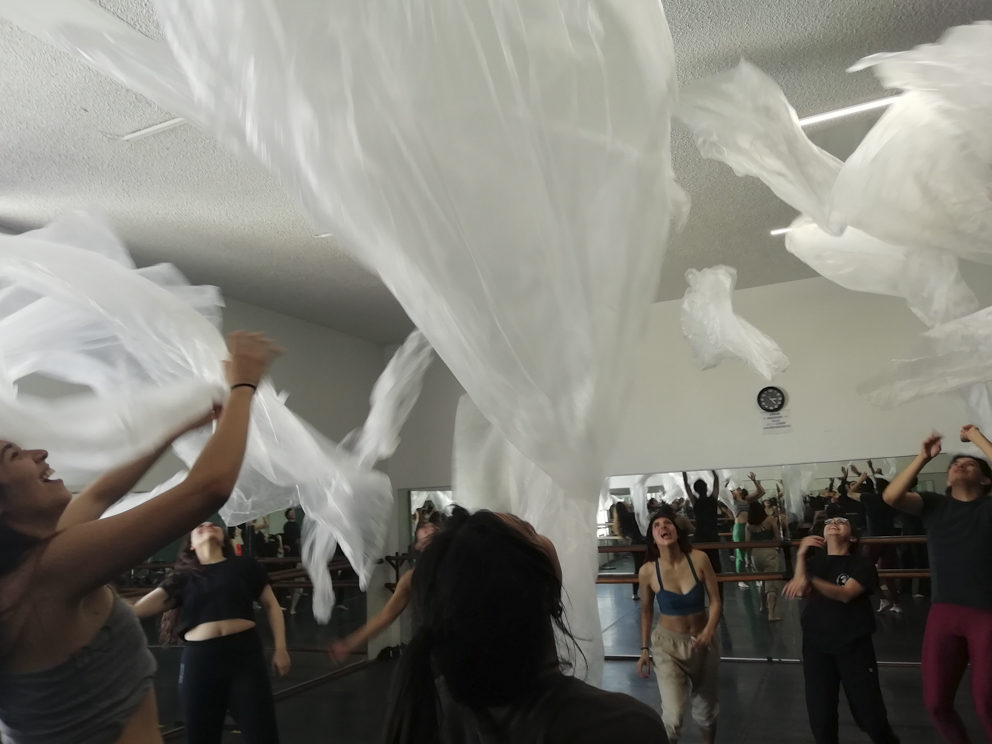 Cursos y talleres en México