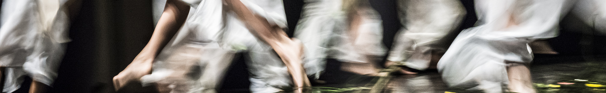 pubblicazioni generico messico